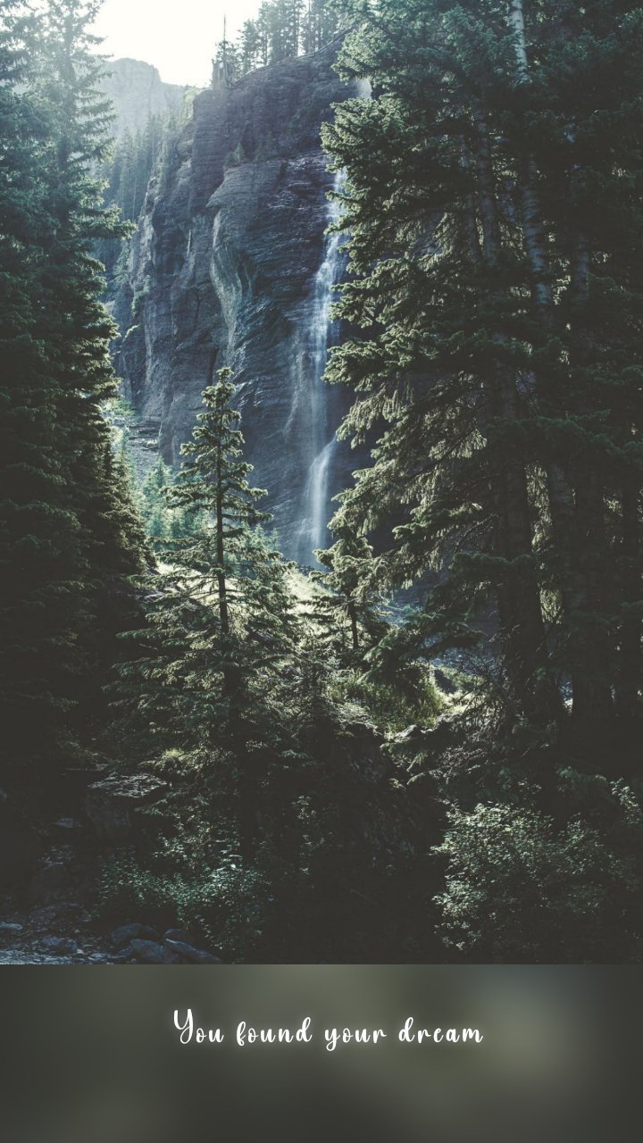 You found your dream